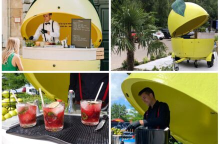 Fantastisch zomerseizoen! - Foto 1