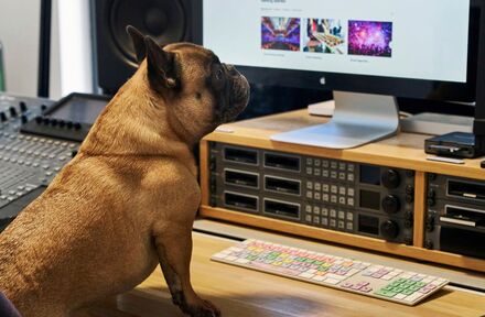 Meet Pepper - Foto 1